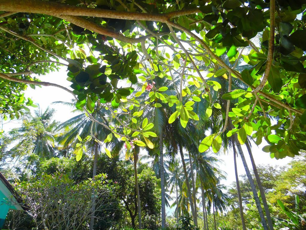 Lazy Monkey Senggigi Ngoại thất bức ảnh